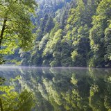 La rivière indolente du Doubs abrite les derniers spécimens de l'apron, surnommé "Roi du Doubs".